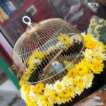 Yellow golden cage with lovely bird